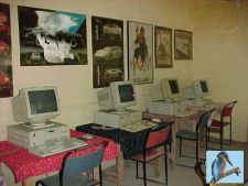 Kingfisher computer room